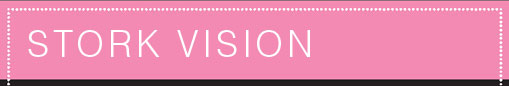 StorkVision Header
