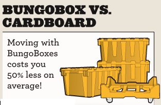 BungoBox Cardboard