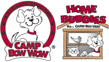 Camp Bow Wow Header