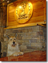 Camp Bow Wow Interior