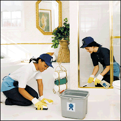 Maid to Perfection Cleaning Bathroom