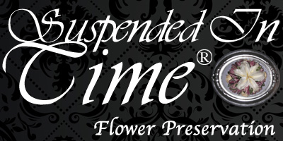 Suspended In Time Header