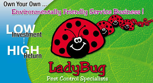 LadyBug Header