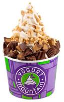 Yogurt Mountain Reeses