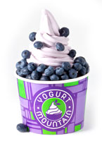 Yogurt Mountain Blueberry