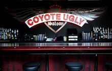 Coyote Ugly Saloon 2