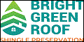 Bright Green Roof - Dealer