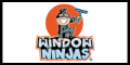 Window Ninjas