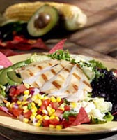 World Wrapps a franchise opportunity from Franchise Genius
